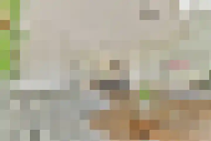 Klateringpad 4 Amsterdam thumbnail 9