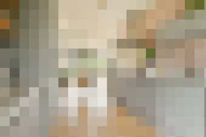 Klateringpad 8 Amsterdam thumbnail 12