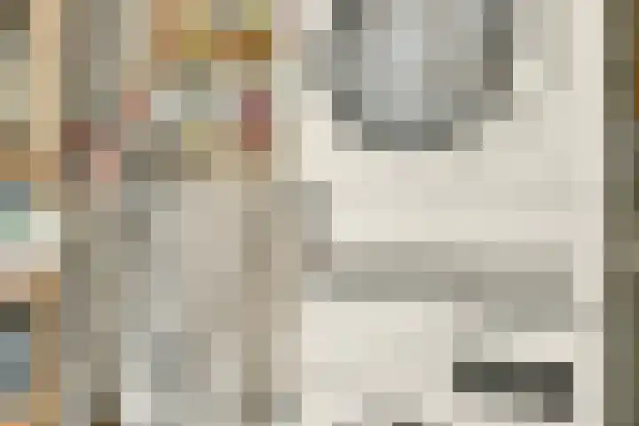 Klateringpad 8 Amsterdam thumbnail 30