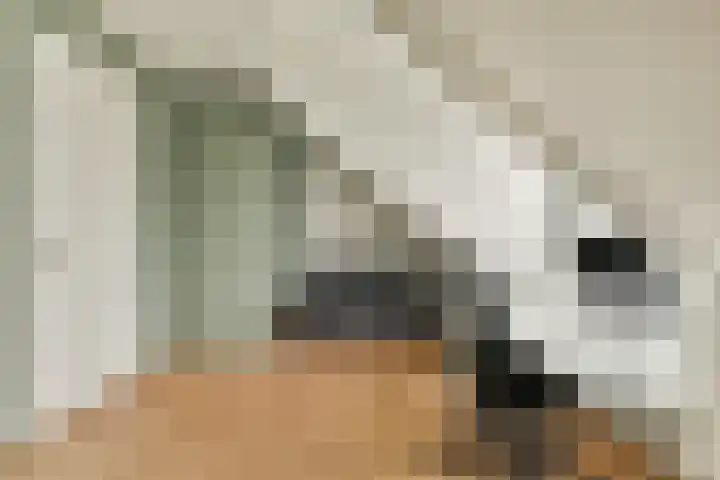 Klateringpad 8 Amsterdam thumbnail 32