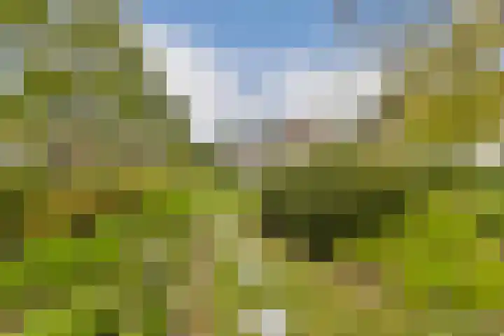 Klateringpad 8 Amsterdam thumbnail 33