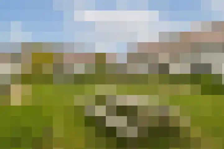 Klateringpad 8 Amsterdam thumbnail 34