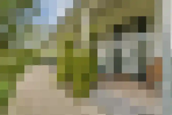 Klateringpad 8 Amsterdam thumbnail 36