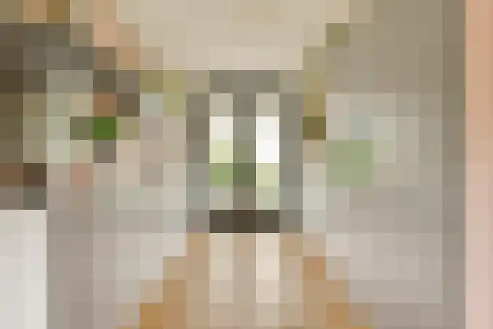 Klateringpad 8 Amsterdam thumbnail 9
