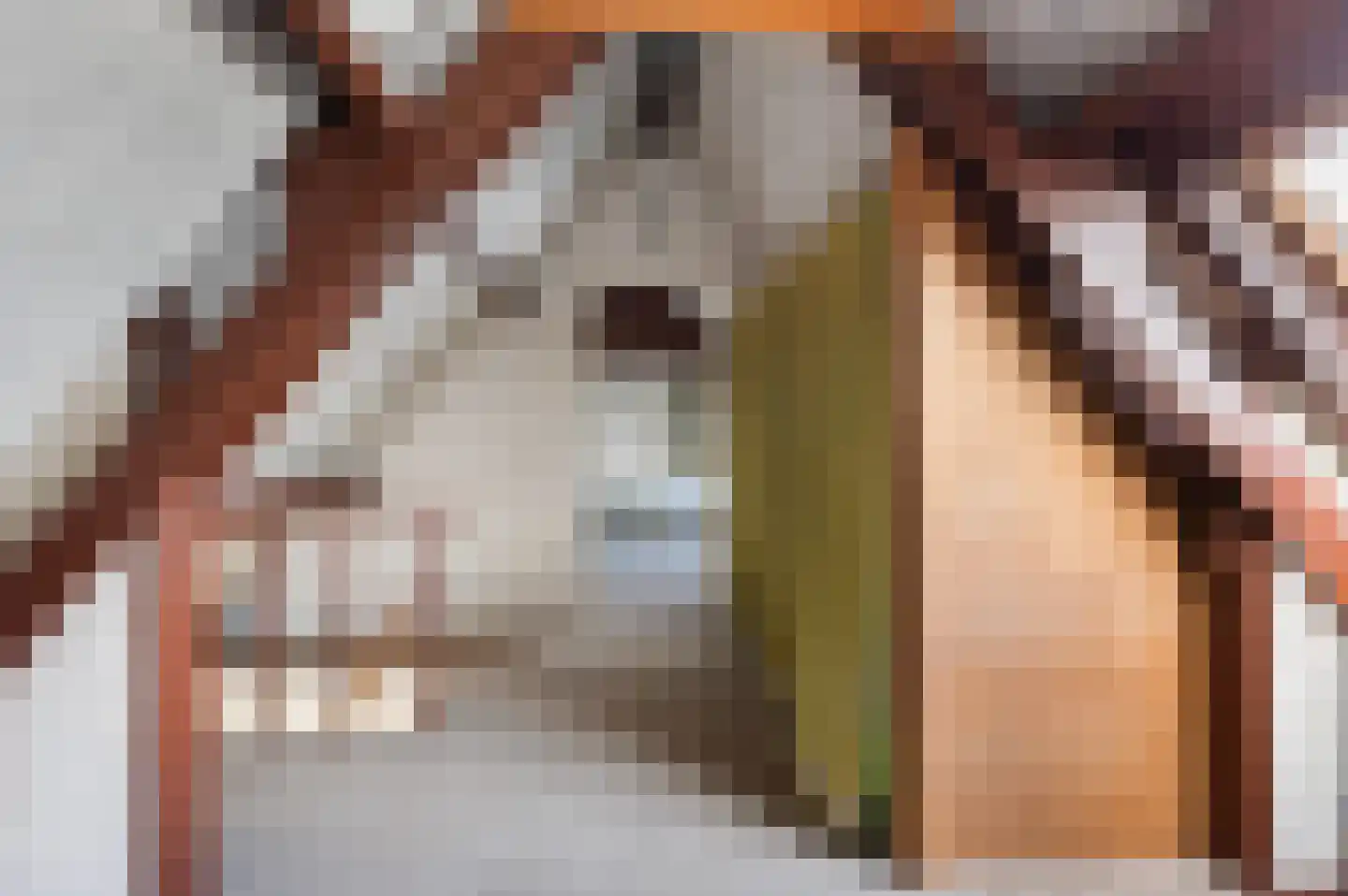 Klaterstraat 1 Oene thumbnail 16