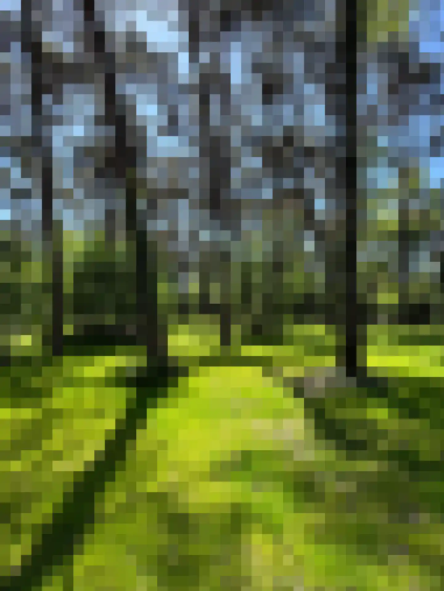 Klaterweg 54 Nunspeet thumbnail 65