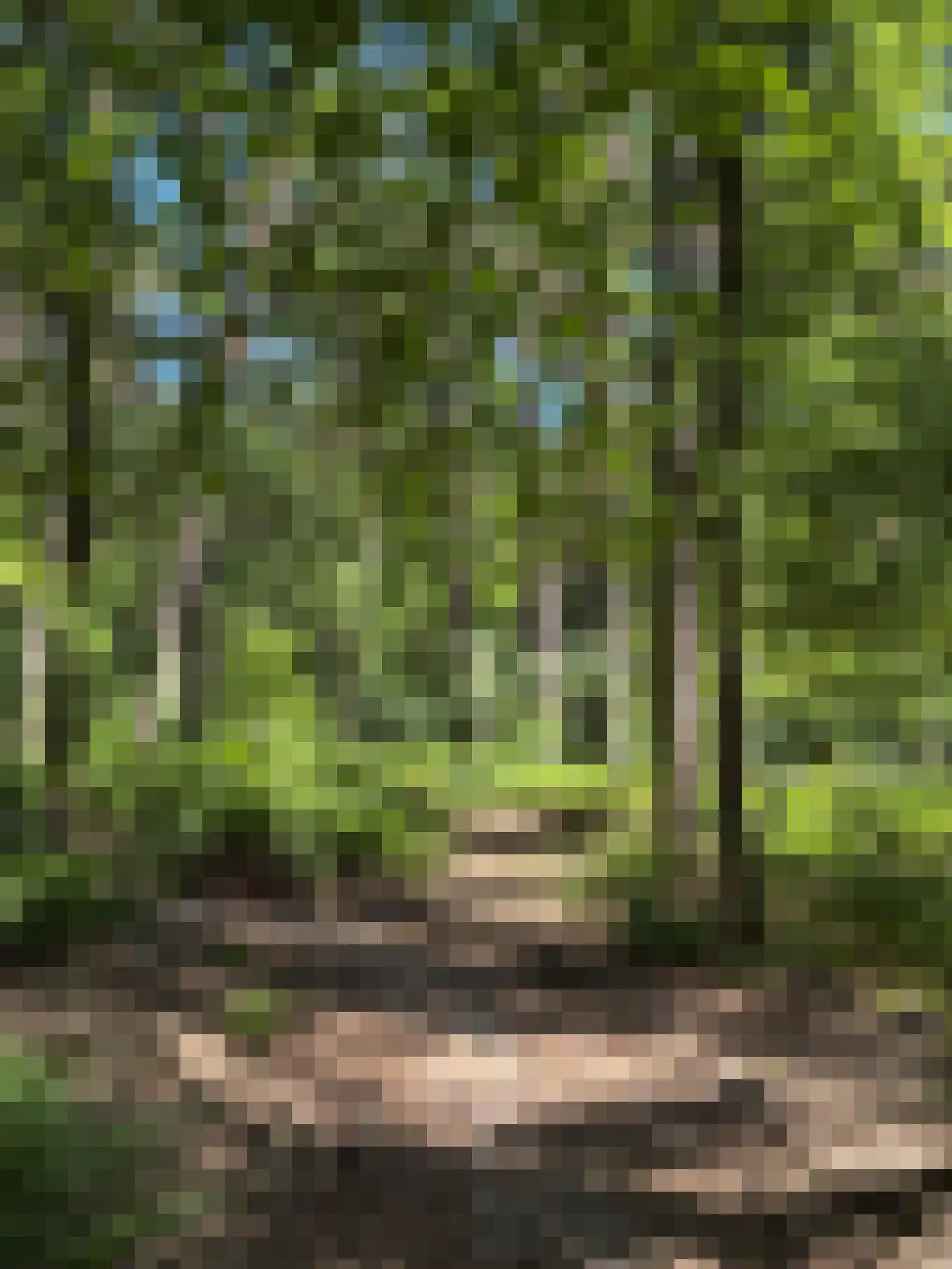 Klaterweg 54 Nunspeet thumbnail 72