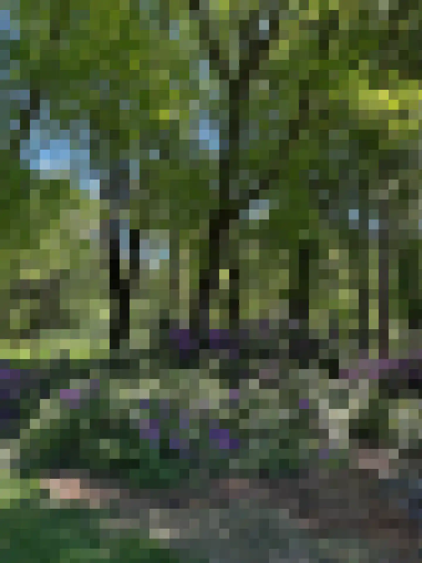Klaterweg 54 Nunspeet thumbnail 73