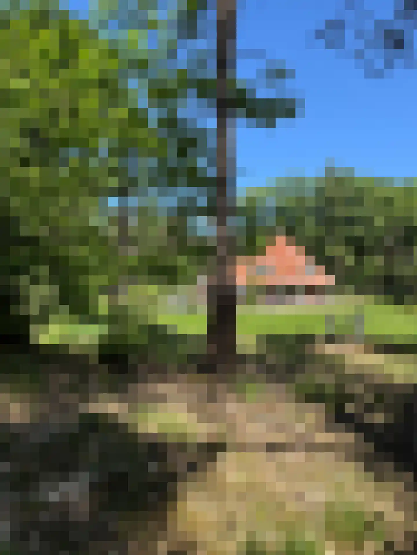 Klaterweg 54 Nunspeet thumbnail 76