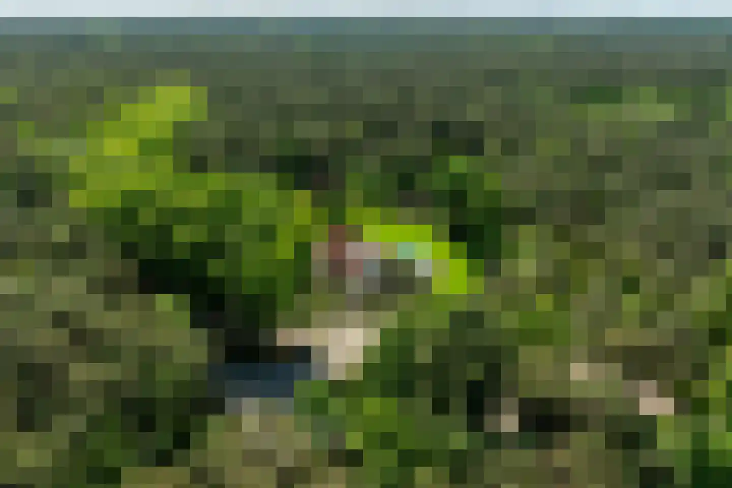 Klaterweg 54 Nunspeet thumbnail 84