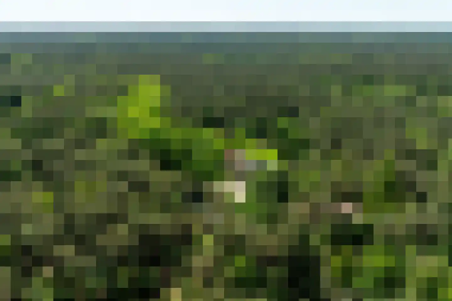 Klaterweg 54 Nunspeet thumbnail 85