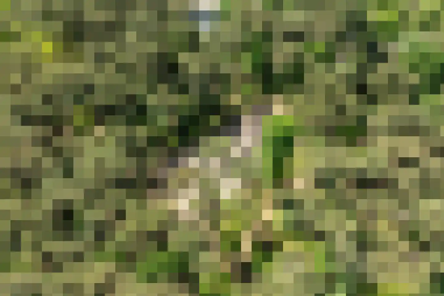 Klaterweg 54 Nunspeet thumbnail 86