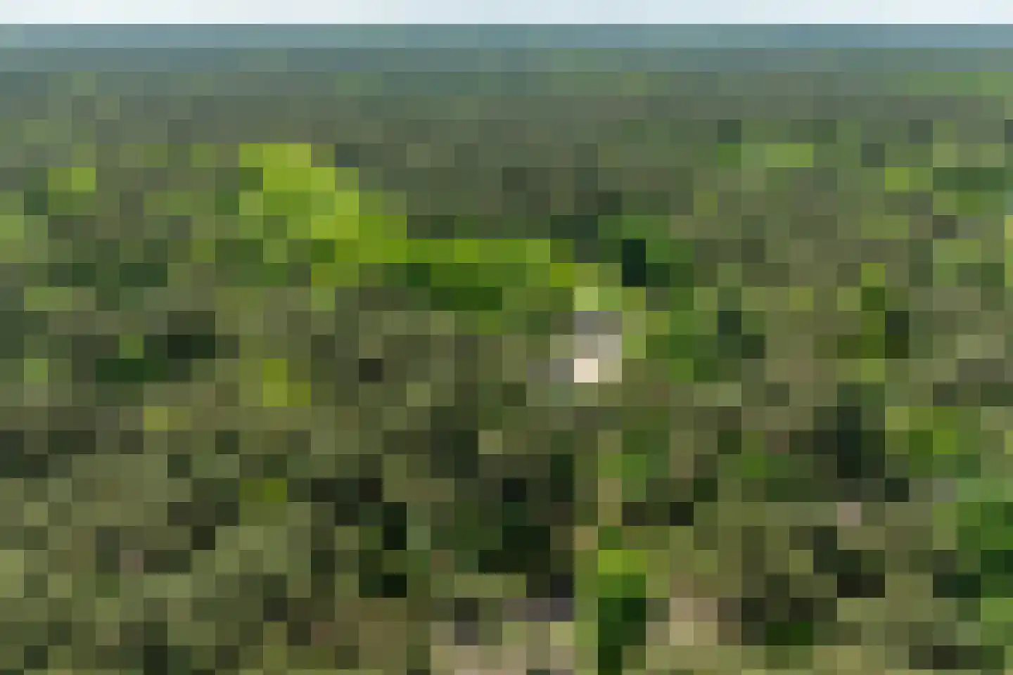 Klaterweg 54 Nunspeet thumbnail 87