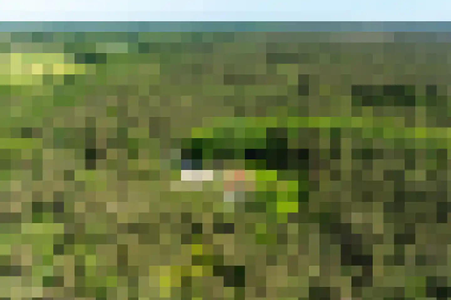 Klaterweg 54 Nunspeet thumbnail 91