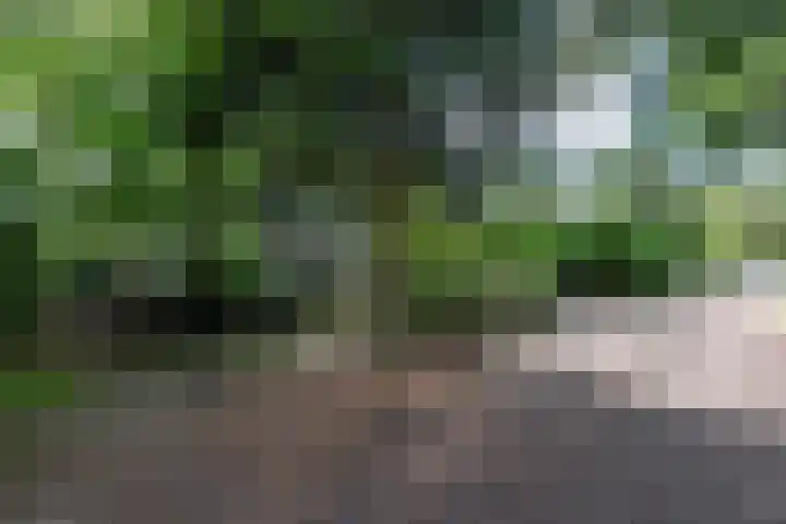 Klaterweg 9 R E39 Doornspijk thumbnail 4