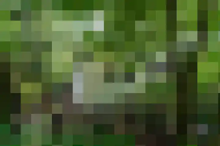 Klaterweg 9 R E39 Doornspijk thumbnail 5