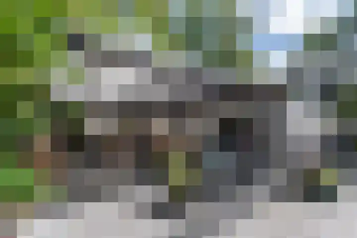Klaterweg 9 R E39 Doornspijk thumbnail 6