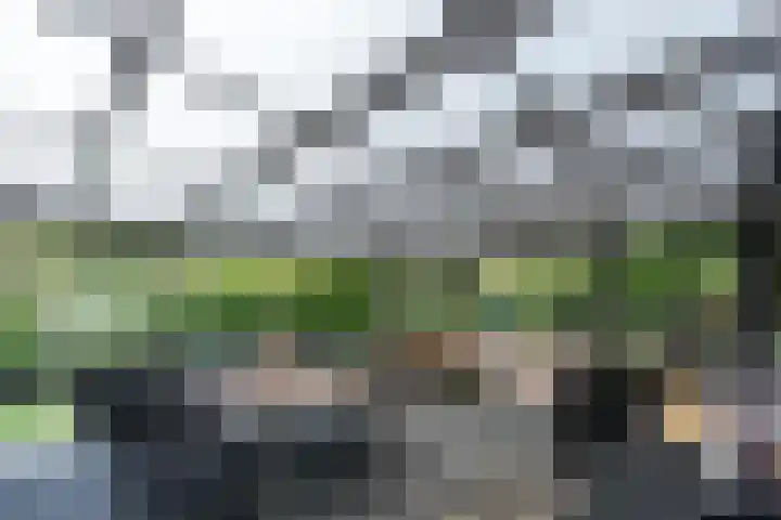 Klaterweg 9 R E39 Doornspijk thumbnail 8