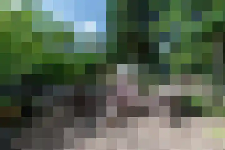 Klaterweg 9 R E39 Doornspijk thumbnail 9