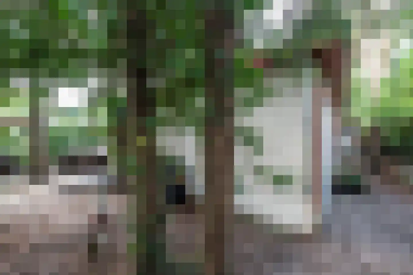 Klaterweg 9 R E44 Doornspijk thumbnail 8