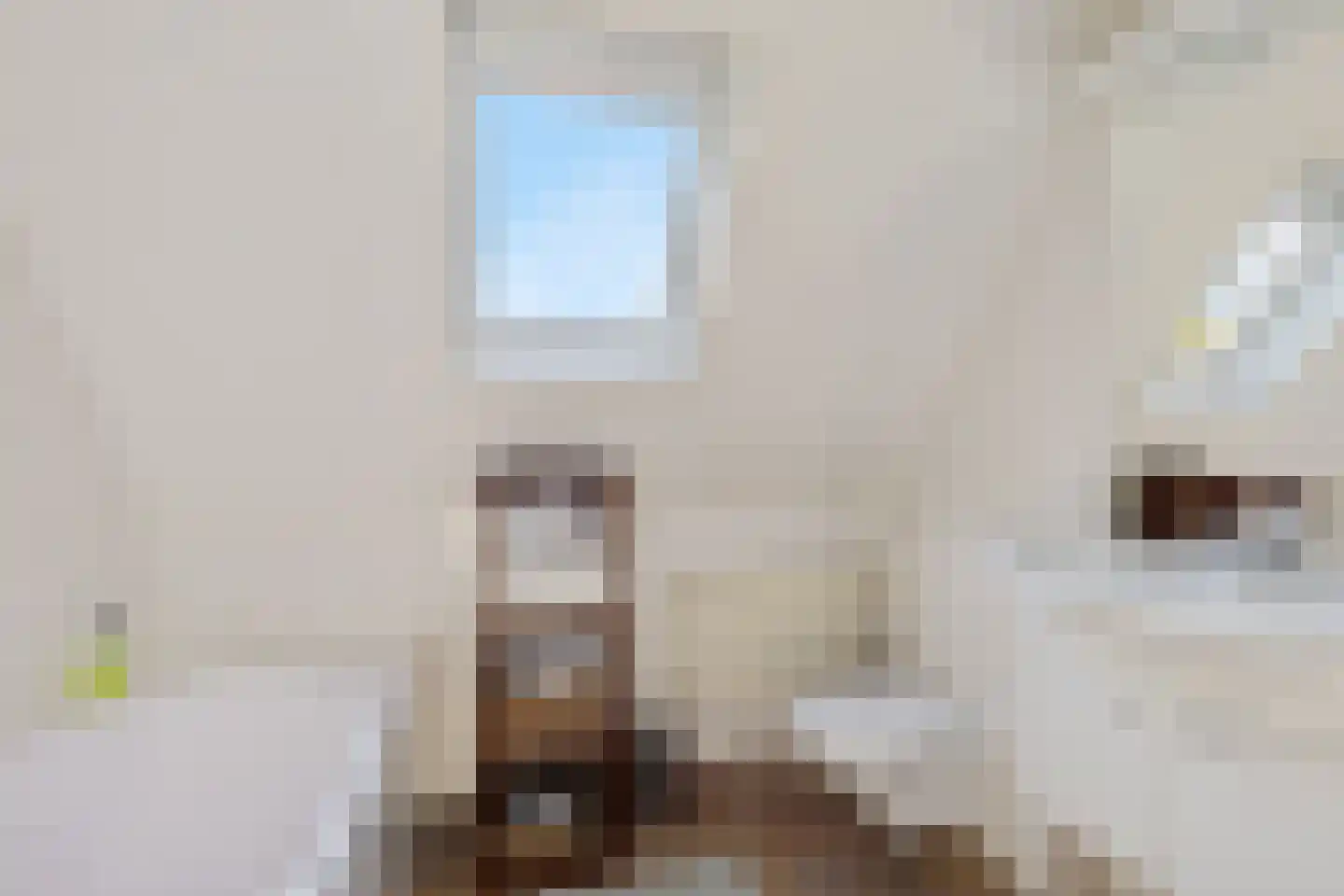Klauwertswei 12 B Siegerswoude thumbnail 35