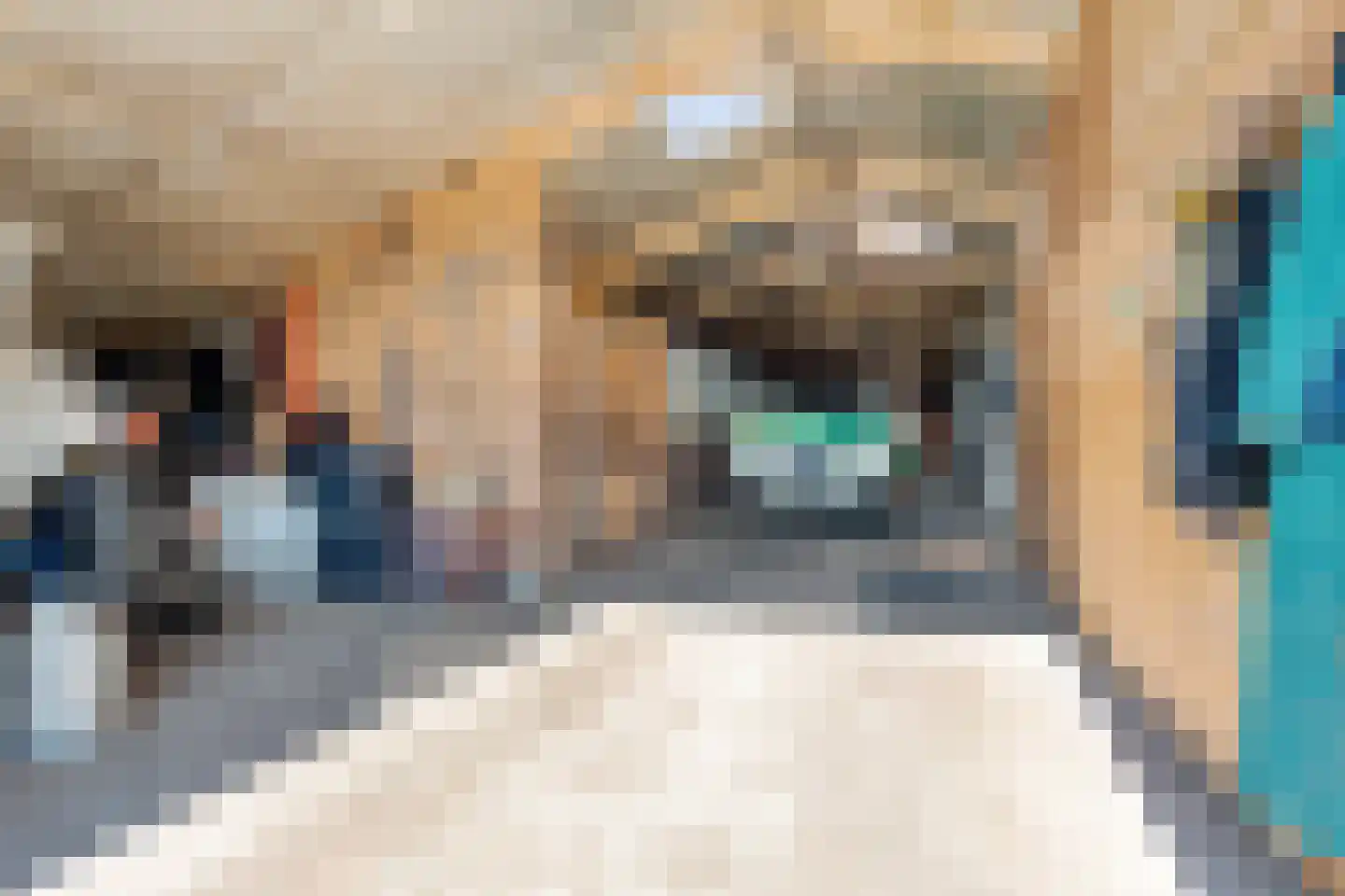 Klauwertswei 12 B Siegerswoude thumbnail 38