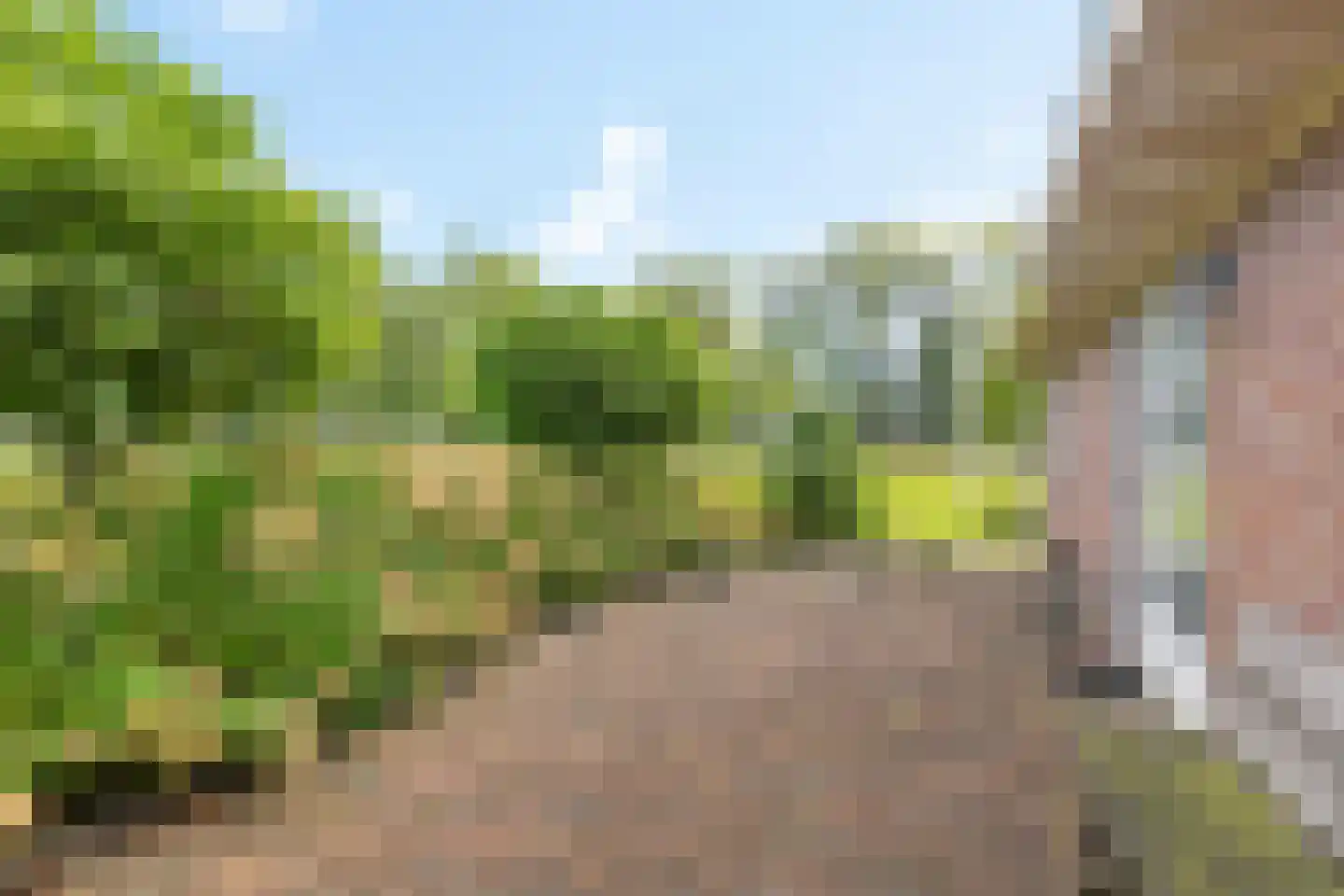 Klauwertswei 12 B Siegerswoude thumbnail 51
