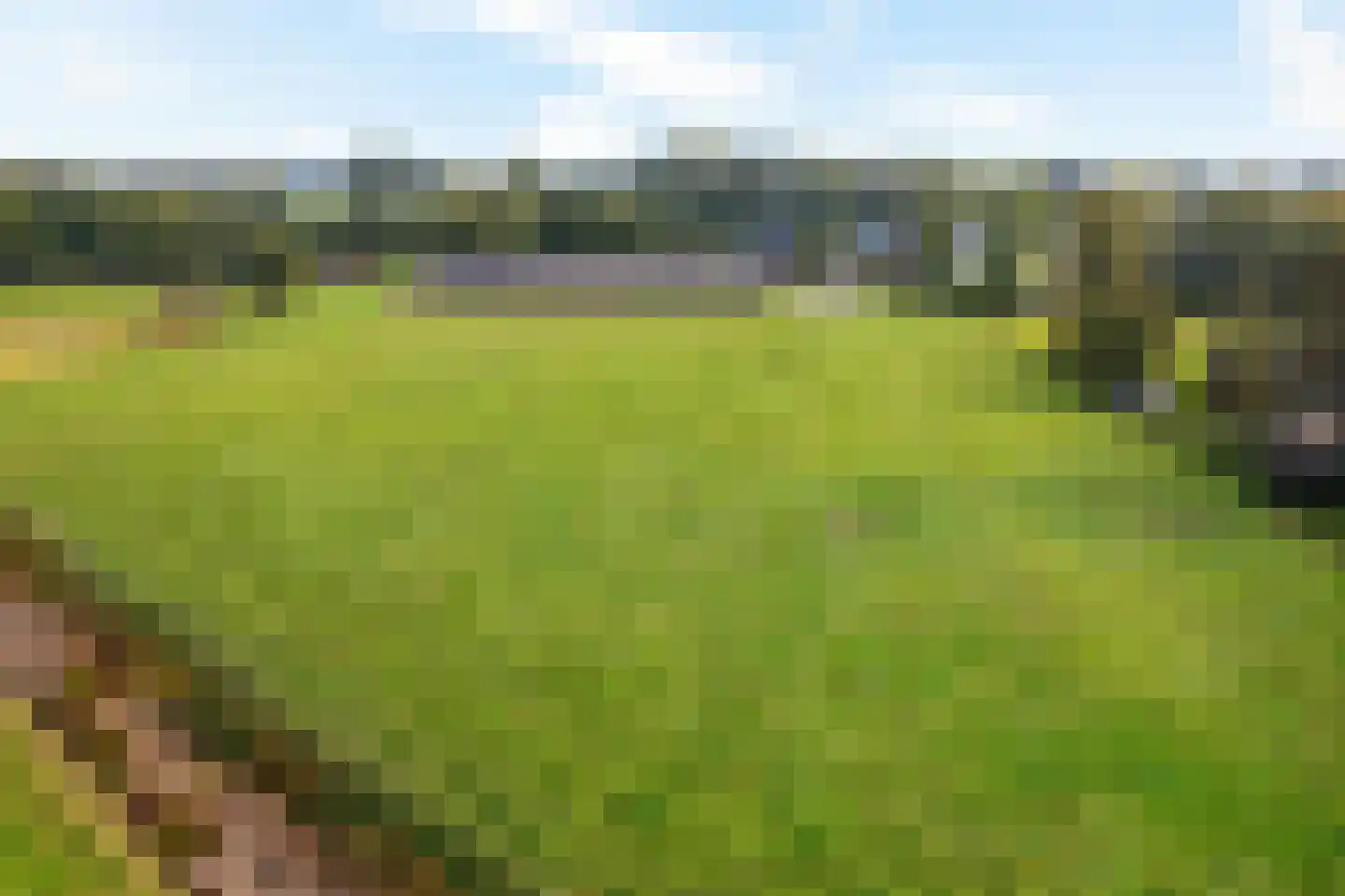Klauwertswei 12 B Siegerswoude thumbnail 59