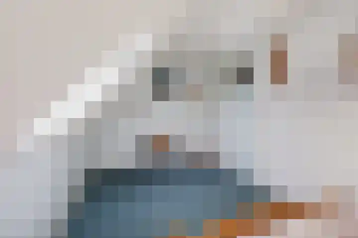 Klauwertswei 2 Siegerswoude thumbnail 24