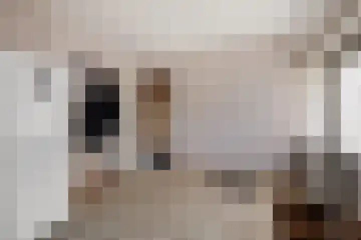Klauwertswei 2 Siegerswoude thumbnail 29