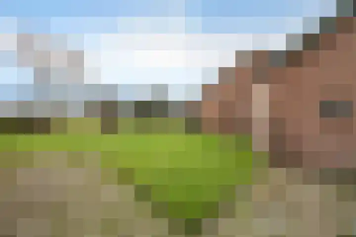 Klauwertswei 2 Siegerswoude thumbnail 36