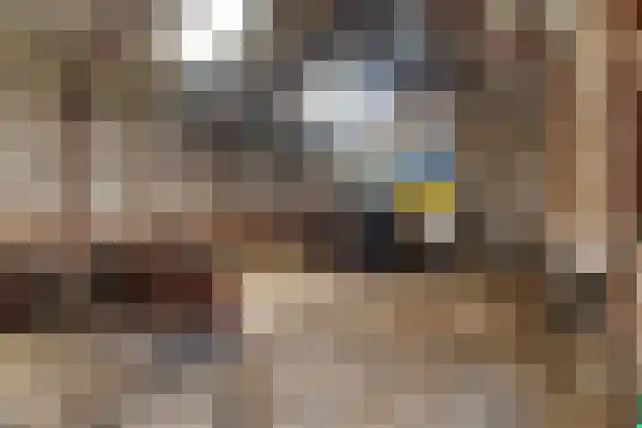 Klauwertswei 2 Siegerswoude thumbnail 45