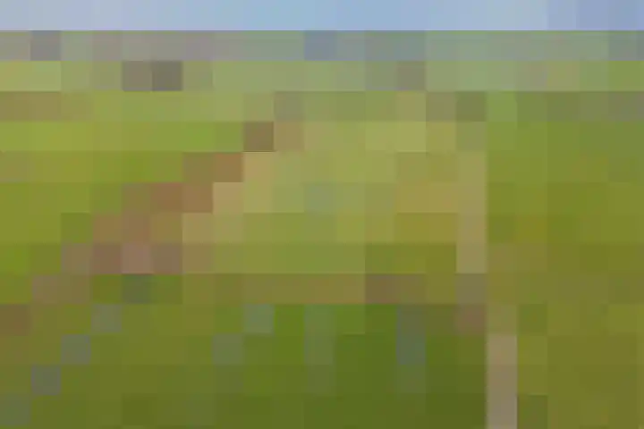 Klauwertswei 2 Siegerswoude thumbnail 47
