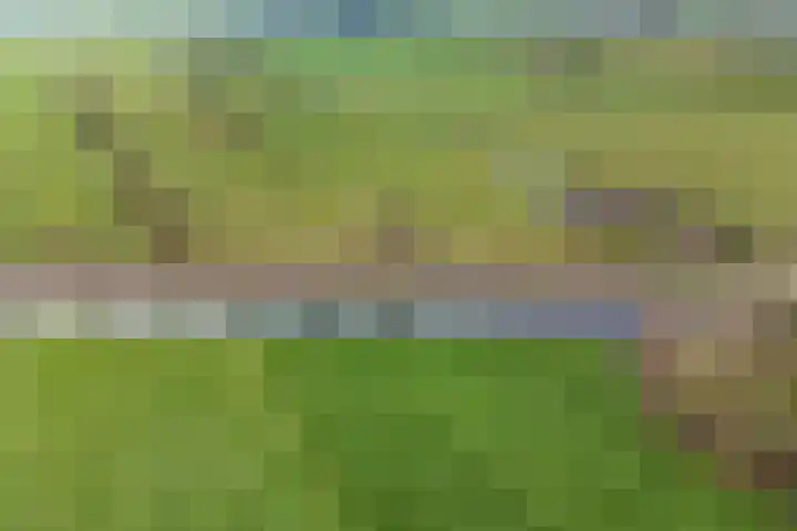 Klauwertswei 2 Siegerswoude thumbnail 50