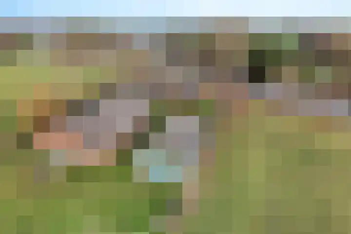 Klauwertswei 2 Siegerswoude thumbnail 51