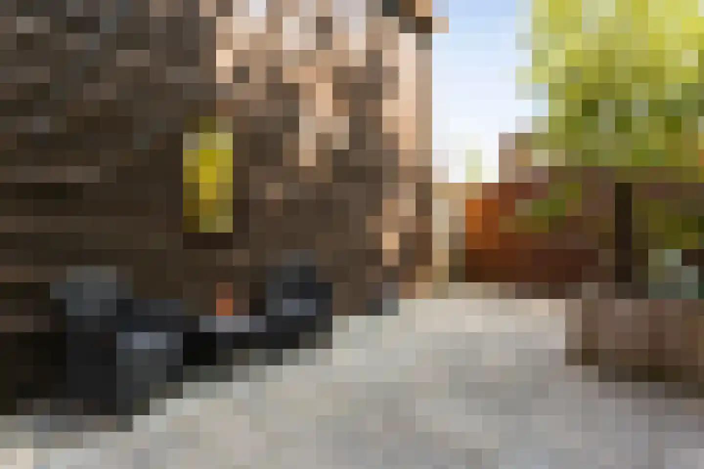 Klauwiersingel 29 Nieuwegein thumbnail 13