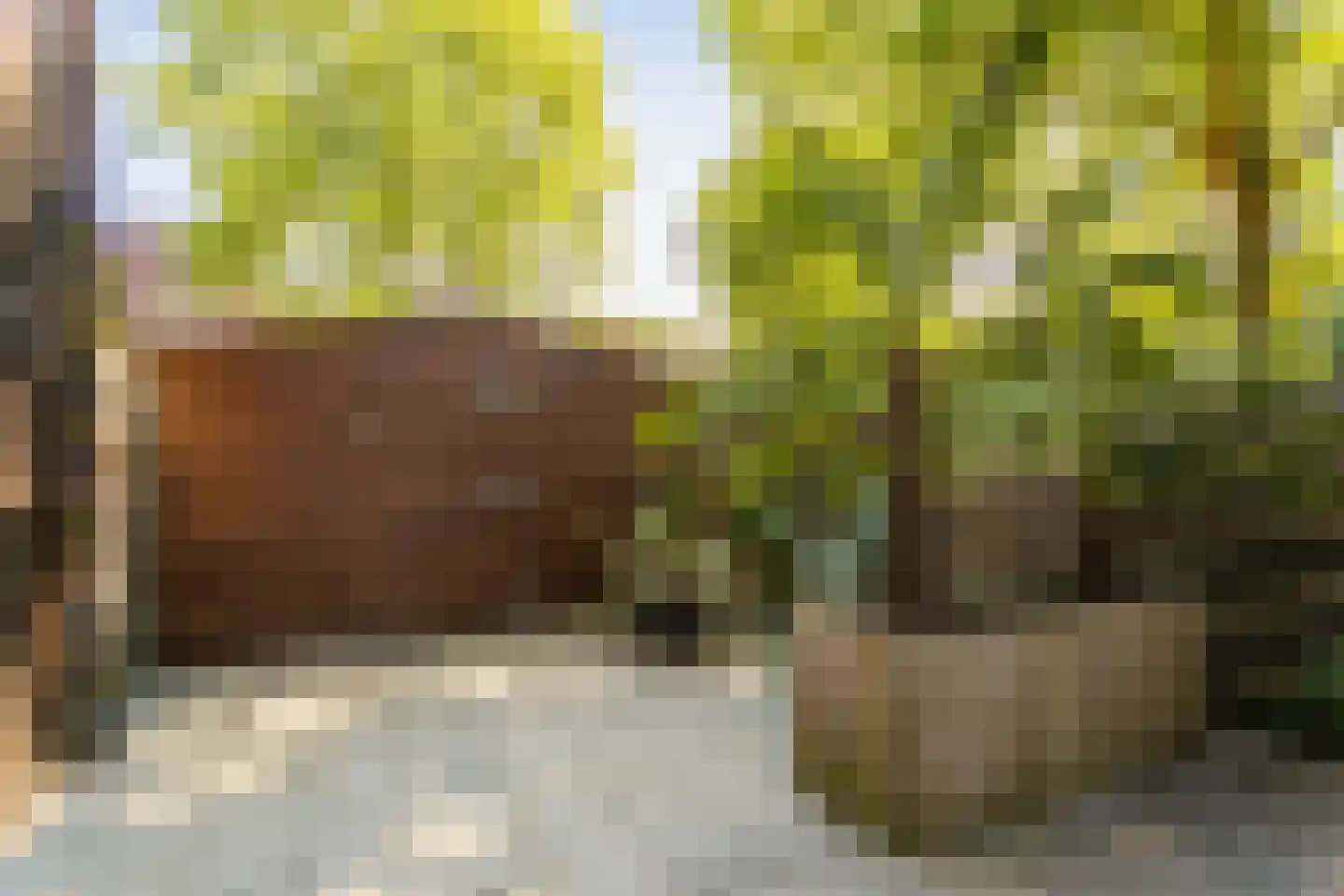 Klauwiersingel 29 Nieuwegein thumbnail 14