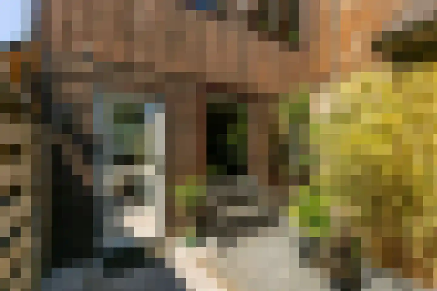 Klauwiersingel 29 Nieuwegein thumbnail 31