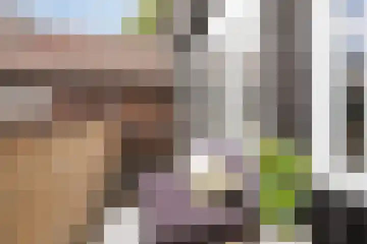 Klauwiersingel 3 Nieuwegein thumbnail 13