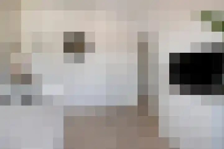 Klauwiersingel 3 Nieuwegein thumbnail 20