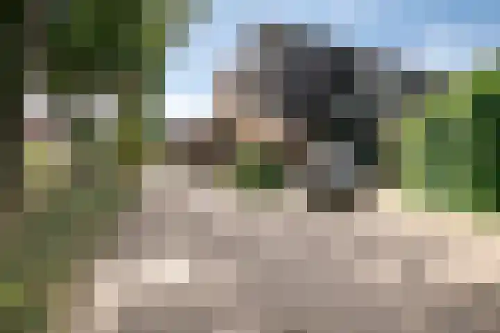 Klauwiersingel 3 Nieuwegein thumbnail 24