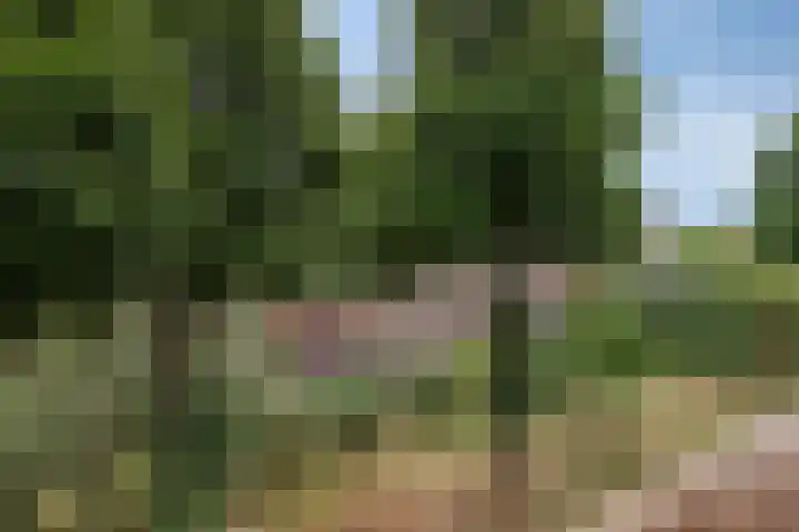 Klauwiersingel 3 Nieuwegein thumbnail 26