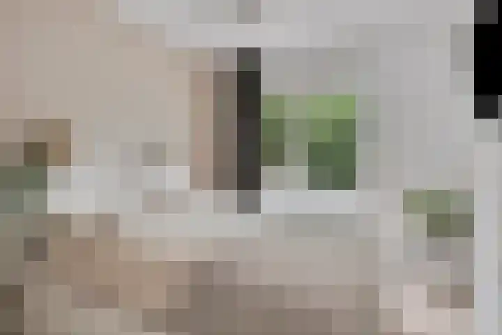 Klauwiersingel 3 Nieuwegein thumbnail 4