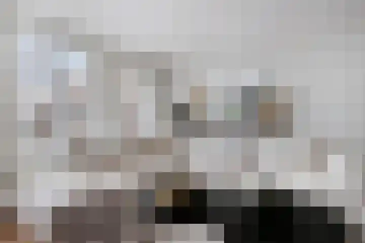 Klauwiersingel 3 Nieuwegein thumbnail 8
