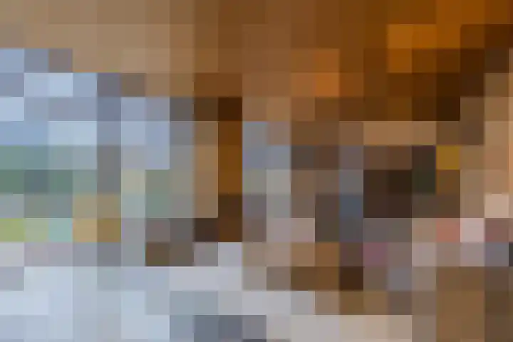 Klavecimbellaan 10 Uden thumbnail 12