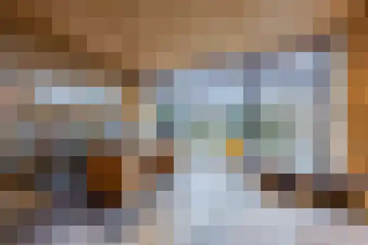 Klavecimbellaan 10 Uden thumbnail 13