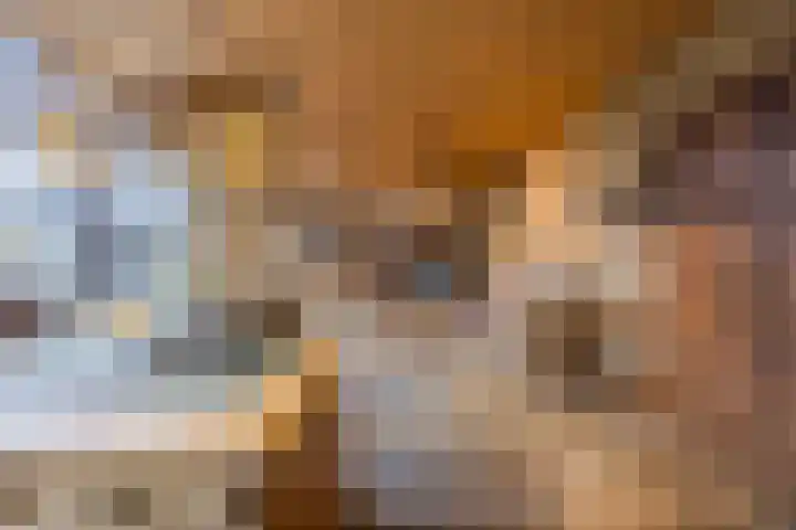 Klavecimbellaan 10 Uden thumbnail 14