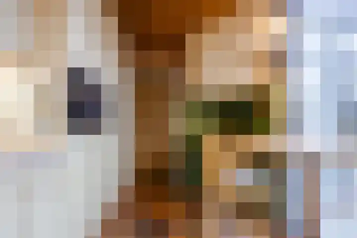 Klavecimbellaan 10 Uden thumbnail 17