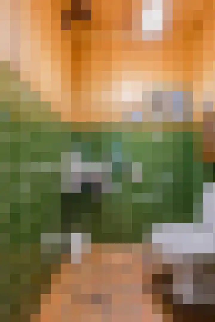 Klavecimbellaan 10 Uden thumbnail 18