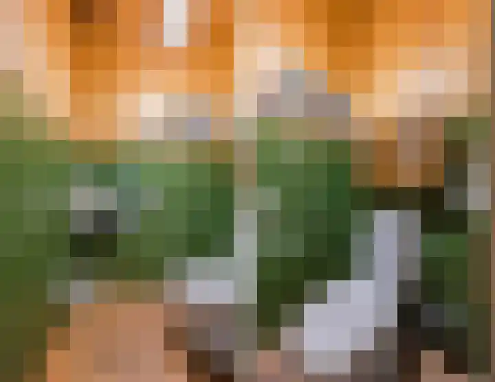 Klavecimbellaan 10 Uden thumbnail 20